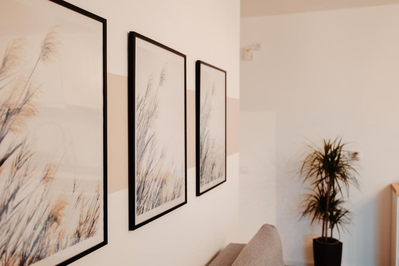 The Perfect Space - Newstudio - Ps4 & Parking Târgu-Mureş 外观 照片
